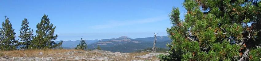 001, Loop: AREA BIG CREEK BALDY. LOOKOUT RENTA
