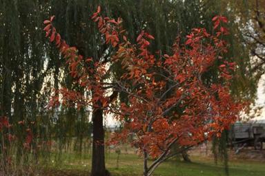 Campground image 2