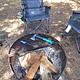 Surveyor 247BH Dog Friendly + Bunkhouse + Island