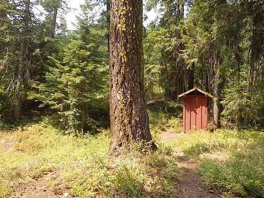 001, Loop: AREA PINE NEEDLE GROUP SITE