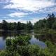 Wide lake view from the campsite grounds showing water, surrounding trees, shoreline docks and lily pads — good overall scenic shot for the property gallery. Image is used on the site's Home page, supporting that it depicts the campground.