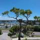 Bay Aire RV Park