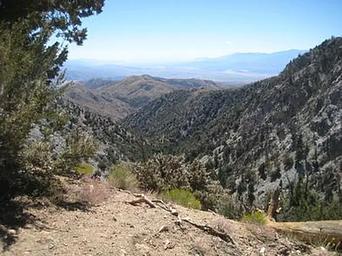 View from Coon Creek Group Campground