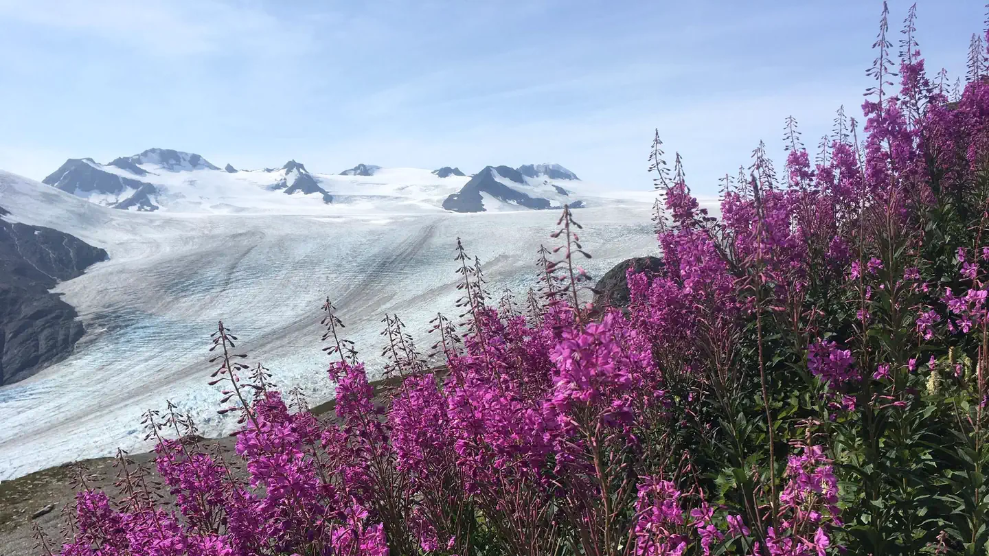 Kenai Fjords National Park Cabins