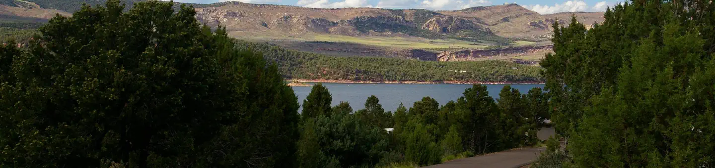 Cedar Springs Campground