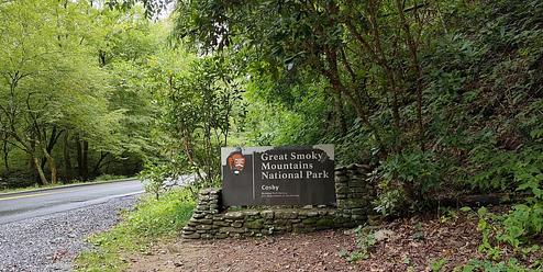 Welcome to Cosby Campground