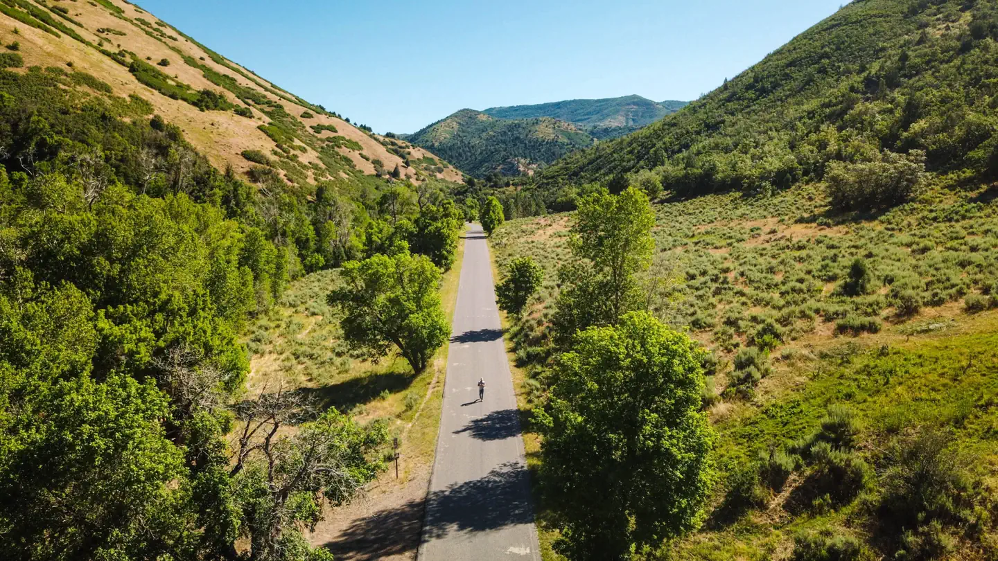 Balsam (Uinta-wasatch-cache National Forest, UT)