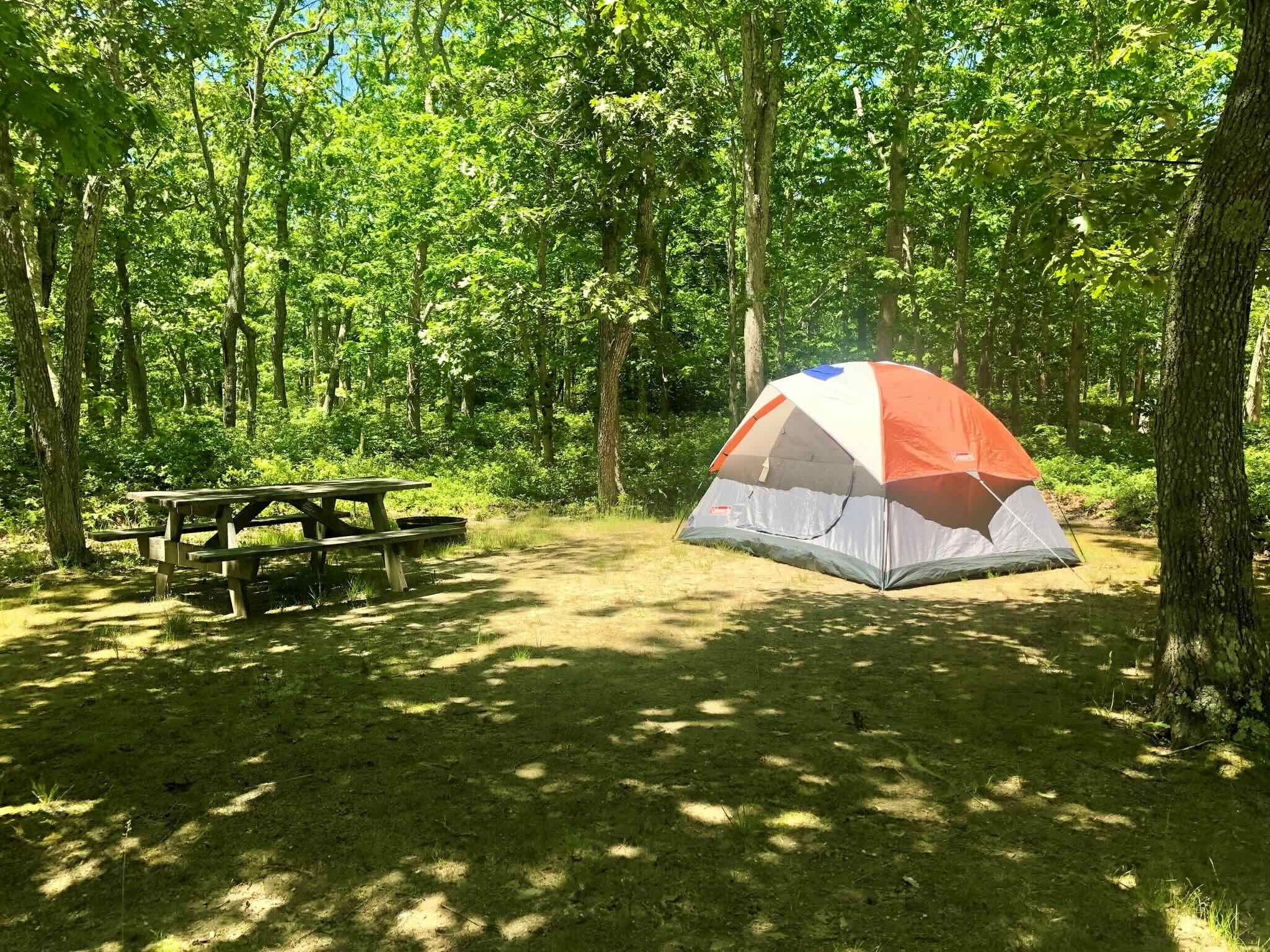 Martha's Vineyard Family Campground