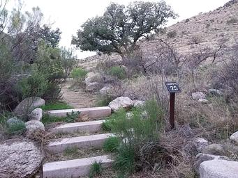 Molino, Loop: MOLINO