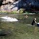 Applegate River Swimming Hole