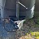 2018 Keystone RV Bullet Crossfire 2190EX