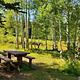 Gooseberry Group Campground Site #1