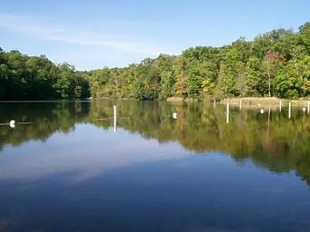 Chilhowee Group Camp