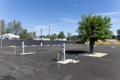 Wide view of paved RV hookup pedestals and a tree in the middle of the lot showing individual RV pads and utilities — useful site-specific image from the property gallery.