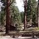 Uphill view of Paliza campground.