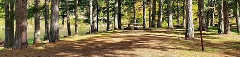 Schwarz Park