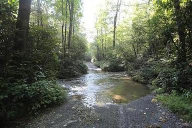 COVE CREEK UPPER GROUP CAMPGROUND.