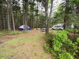 Sherwood Forest Campsite