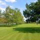 Bayou Campground -A grassy park area with scattered trees under a partly cloudy sky; a bench is visible in the distance near the trees.