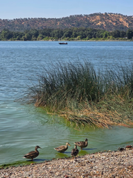 Wild Oaks RV Park