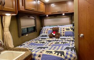 Sugarbear 5 - Cute & Easy to drive