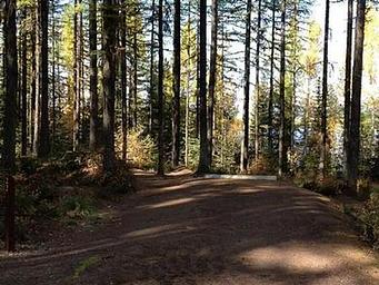 Lid Creek Campground