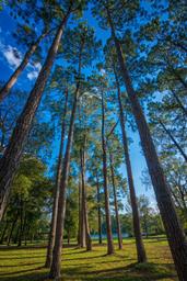 Campspot slideshow image 3