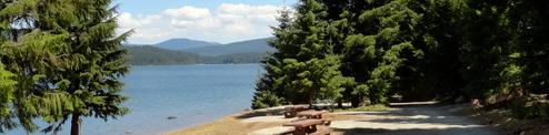 Pine Point