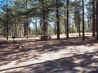 Jemez Falls Campground Campsite 49