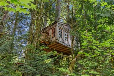 Treehouse Point