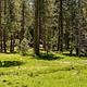 Meadowview Campground Meadow