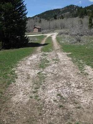 GS1, Loop: Sites 5-7