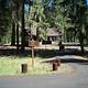 View past picnic area sign down paved road bordered with stump barriers and intermittent conifer trees, sunlit group picnic shelter in background.