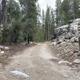 A photo of the road to sites 70-76 at Yosemite Creek Campground