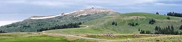 Bald Mountain Campground
