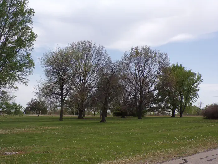 Canning Creek