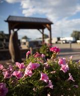 Cool Sunshine RV Park
