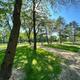 Lake Road Campground Site 19
