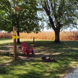 Typical tent/campsite area with picnic table, chairs, fire ring and mature trees bordering cornfield — illustrates primitive/standard campsite setting on the property.
