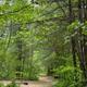 Campspot slideshow image 3