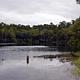 WRIGHT LAKE CAMPGROUND