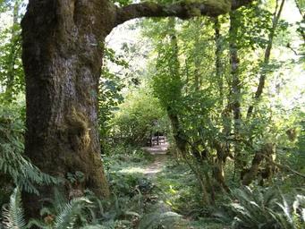 Clay Creek Recreation Site
