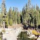 Headwaters of French Meadows Lake near Coyote group campgrounds.