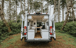 The Live and Travel - Ram Pro-Master