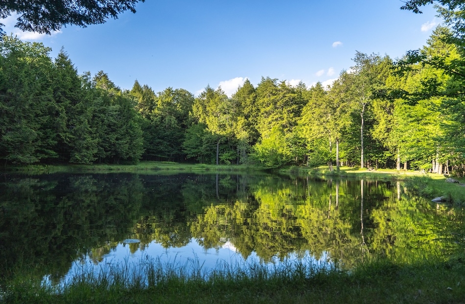 Willowemoc Campground