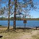 Morgan Lake Beach and Picnic Area