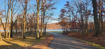 Curwensville Lake