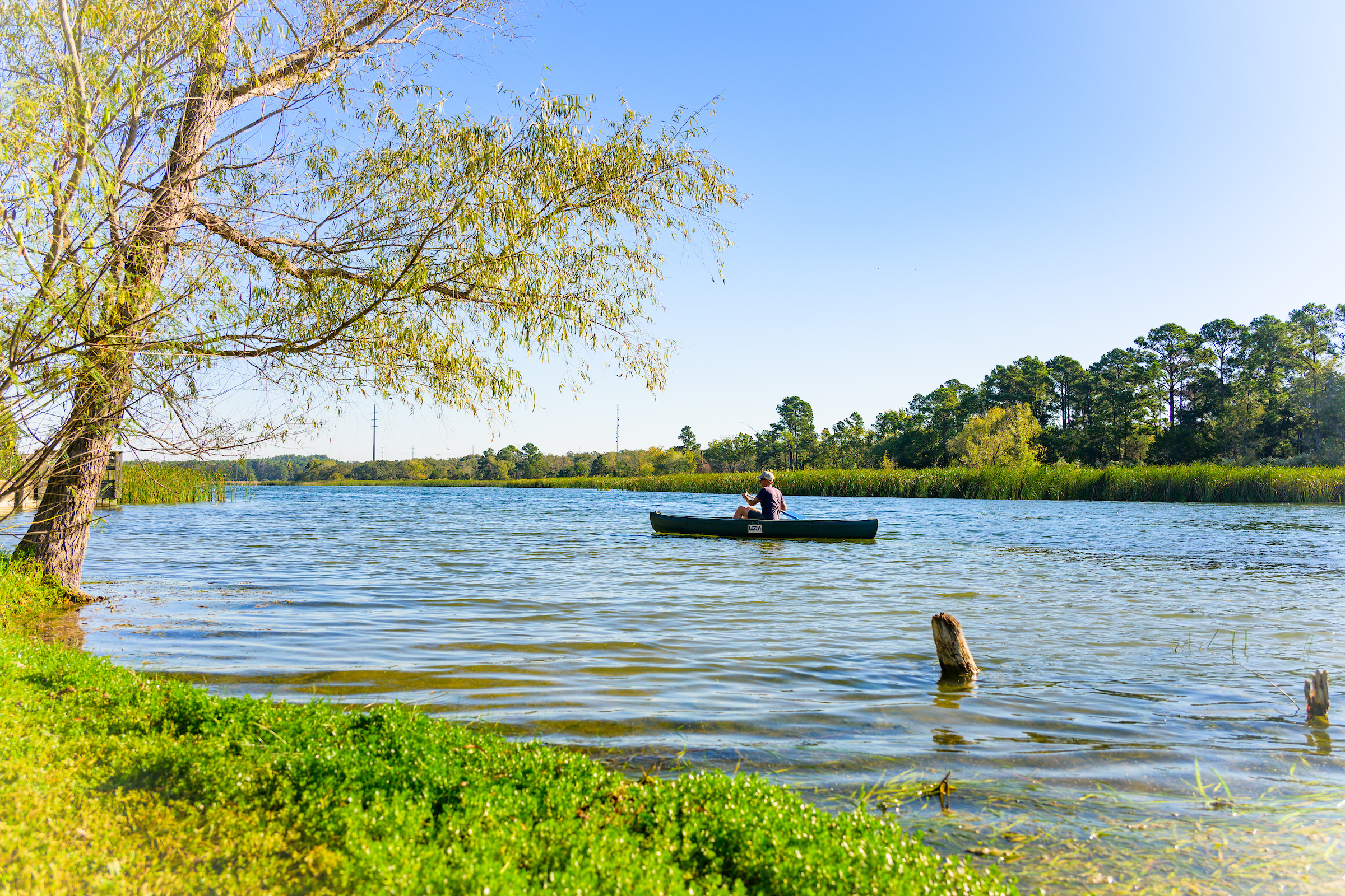 Lake Bastrop South Shore Park