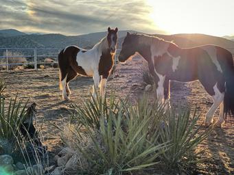 Rimrock Ranch