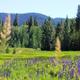 Thousand Trails Leavenworth